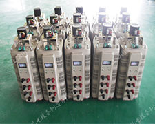 TSGCC2三相電動調(diào)壓器